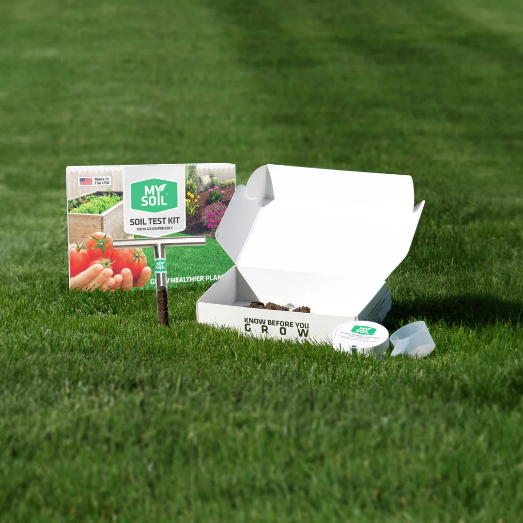 Master Your Lawn Today